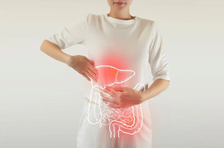 digestive